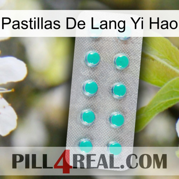 Lang Yi Hao Pills 28.jpg